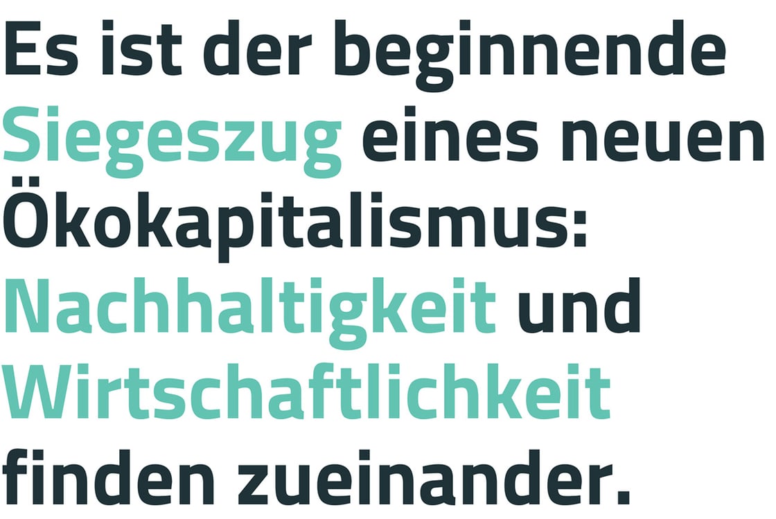 Header-Zitat Newsletter neuer Ökokapitalismus