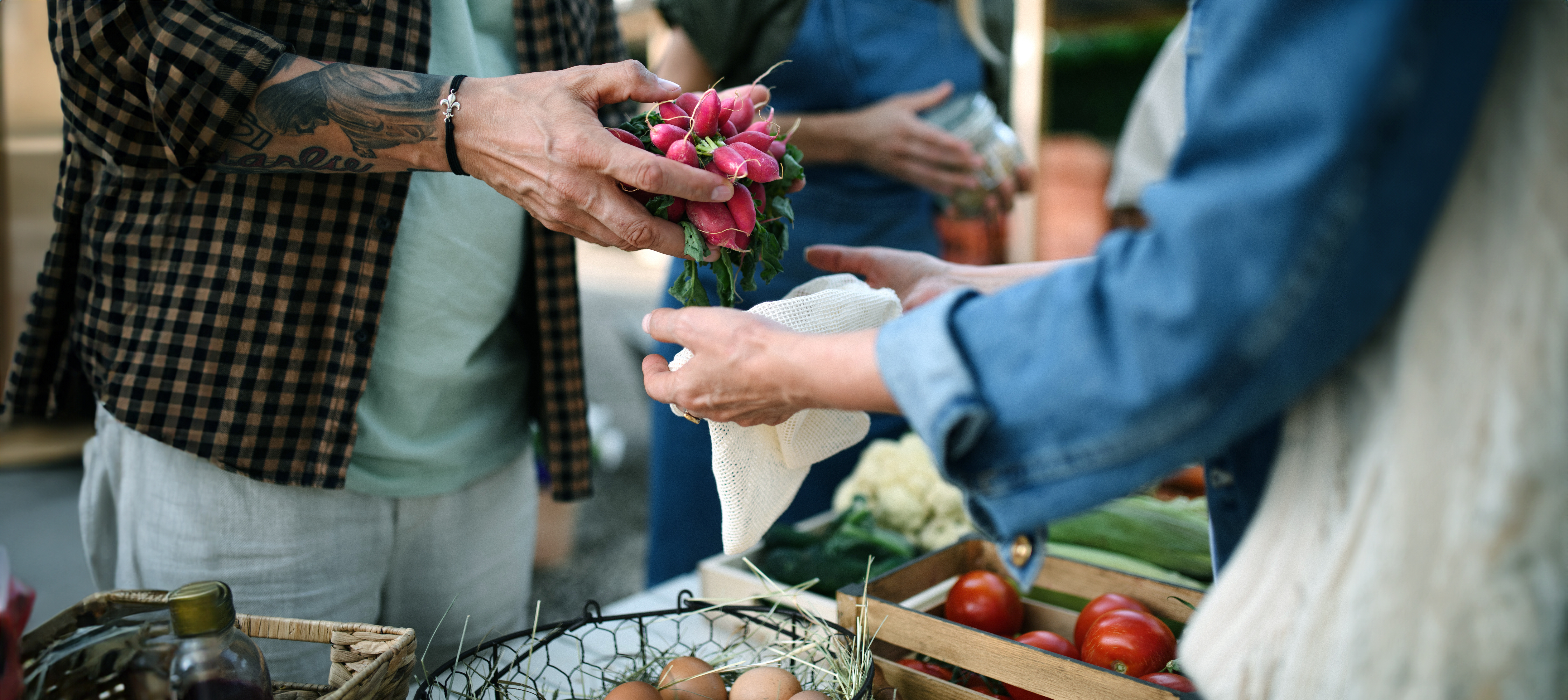 Around Supermarkets – Gesunder und nachhaltiger Konsum