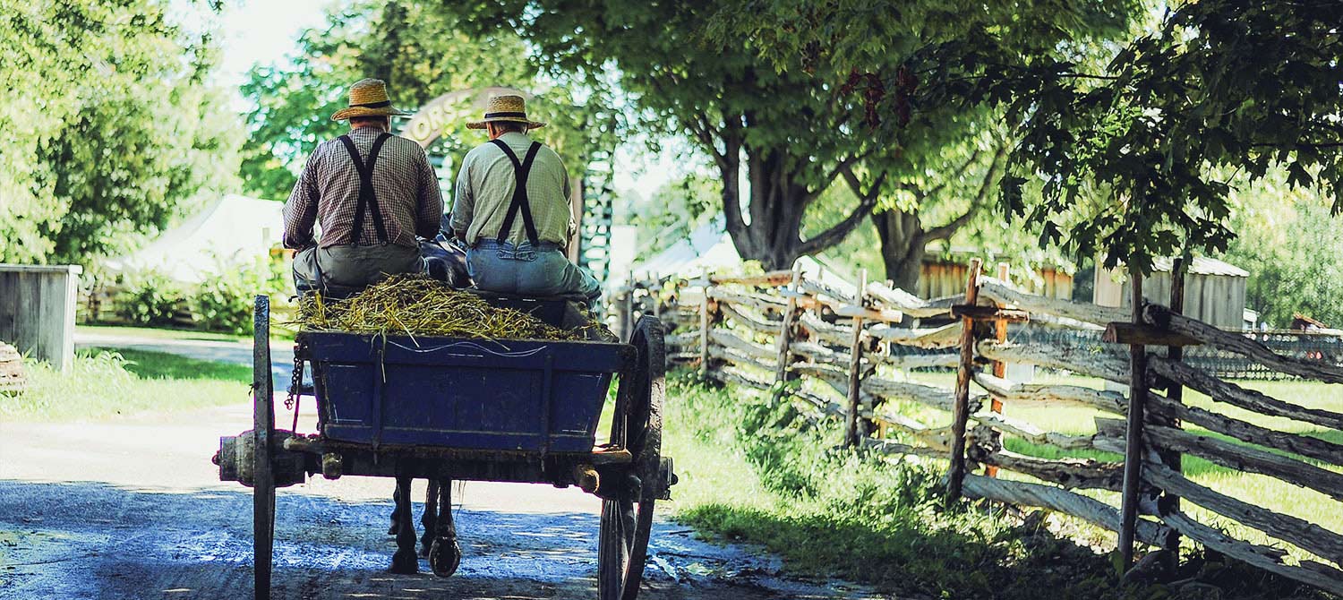Das leise Comeback des Landes
