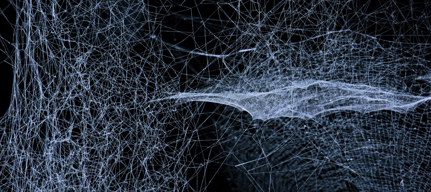 Blockchain Netz